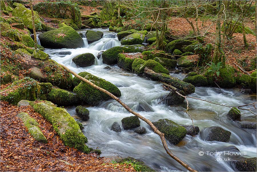 Kennall Vale