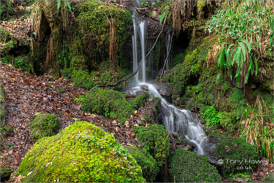 Kennall Vale