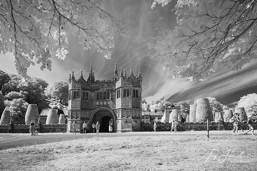 Lanhydrock (Infrared Camera, turns foliage white)