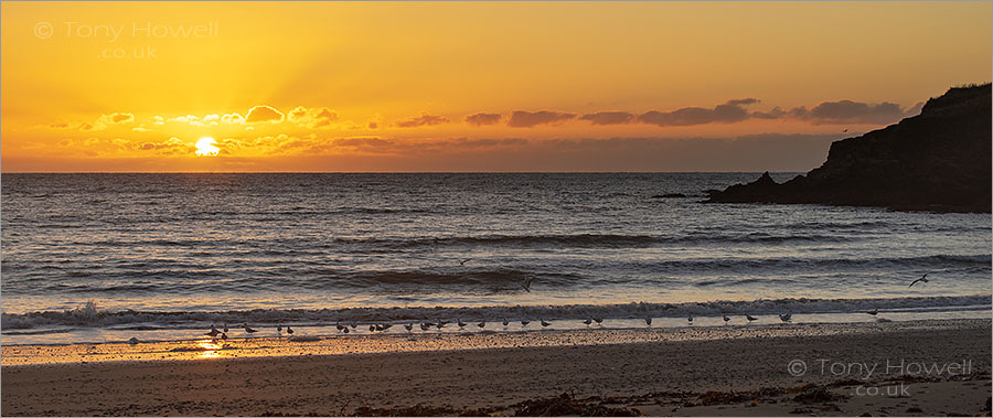 Maenporth Beach, Sunrise, Falmouth