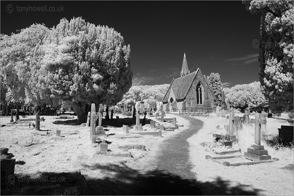 Milton Road Cemetery (Infrared Camera, turns foliage white)