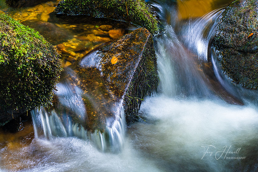 Mossy Boulders, Golitha Falls, River Fowey