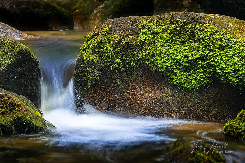 Mossy Boulders, Golitha Falls, River Fowey