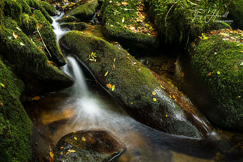 Mossy Rocks, Stream, Kennall Vale