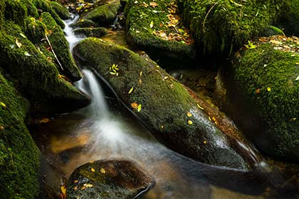 Mossy-Rocks-Stream-Kennall-Vale-Cornwall