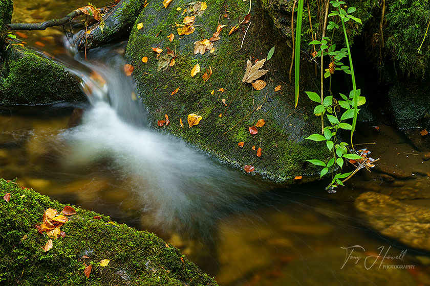 Mossy Rocks, Stream, Kennall Vale