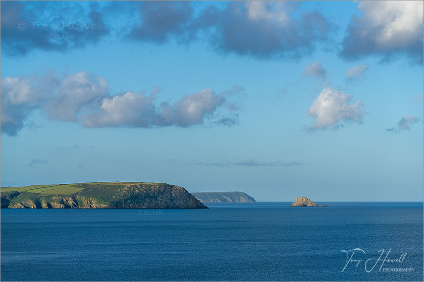 Nare Head, The Roseland