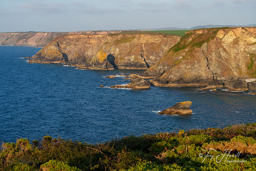 North Cliffs, near Hayle and Portreath