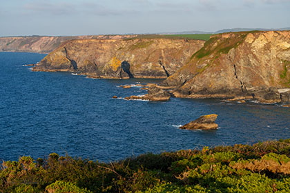 North-Cliffs-Hayle-Cornwall