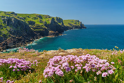 Pentire-Head-Polzeath-Sea-Pinks-Cornwall-
