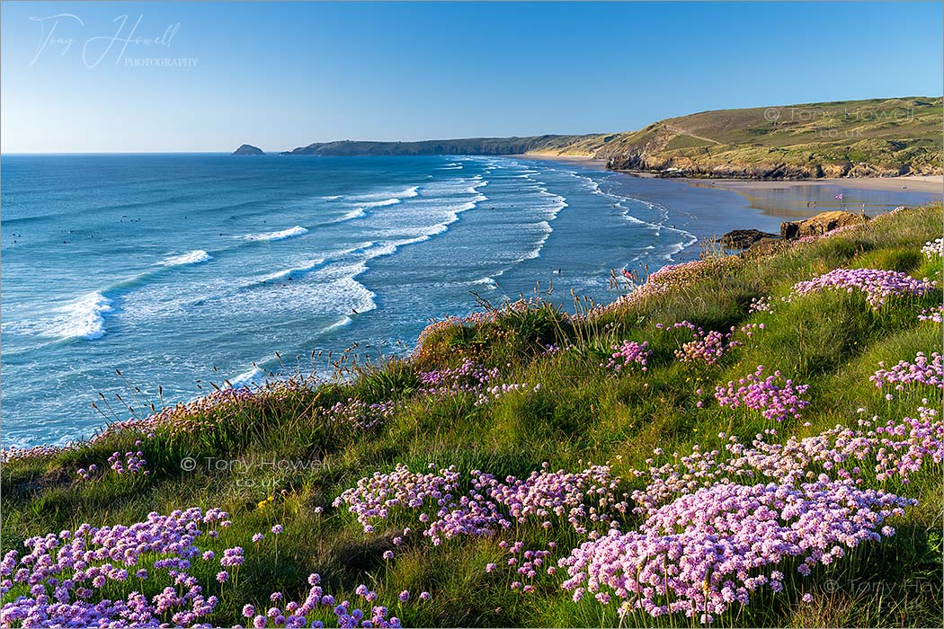 Perranporth Beach, Thrift