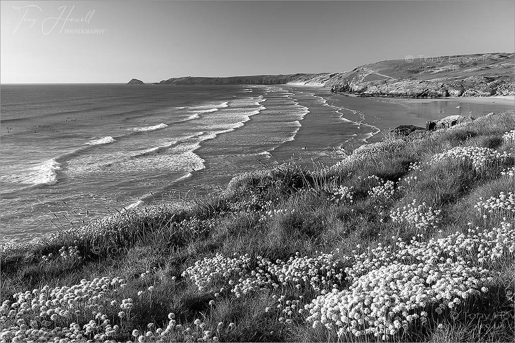 Perranporth Beach, Thrift