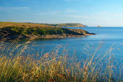 Porthcurnick-Roseland-Cornwall-AR3518