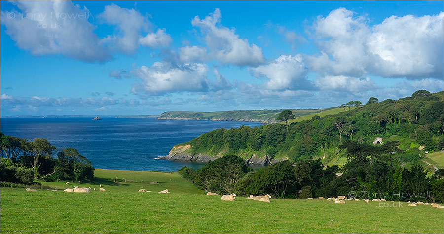 Porthluney, Caerhays