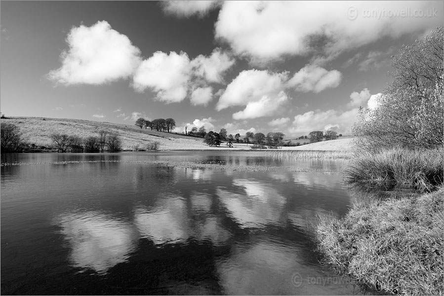 Waldegrave Pool, Priddy