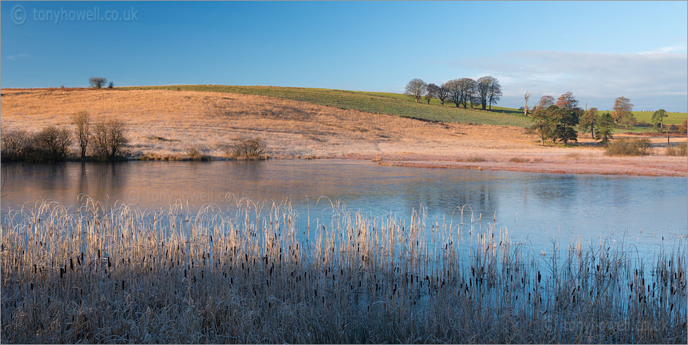 Waldegrave Pool