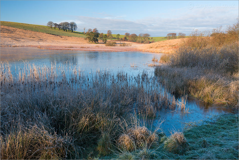 Waldegrave Pool