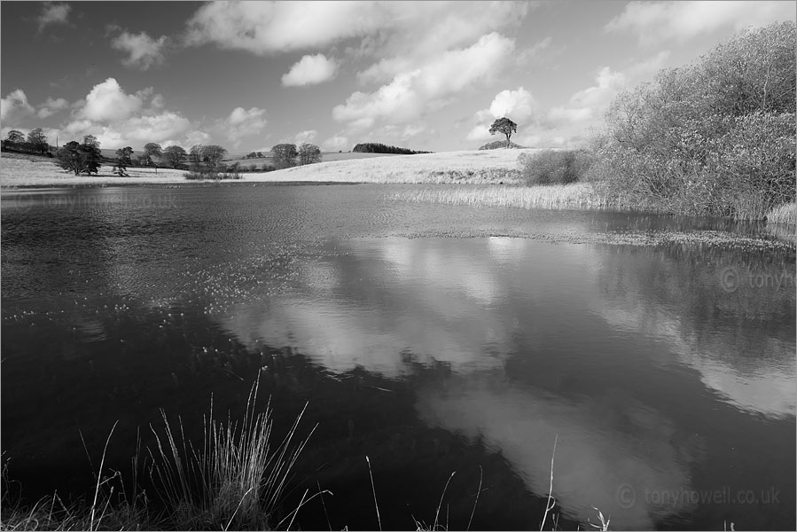 Waldegrave Pool, Priddy