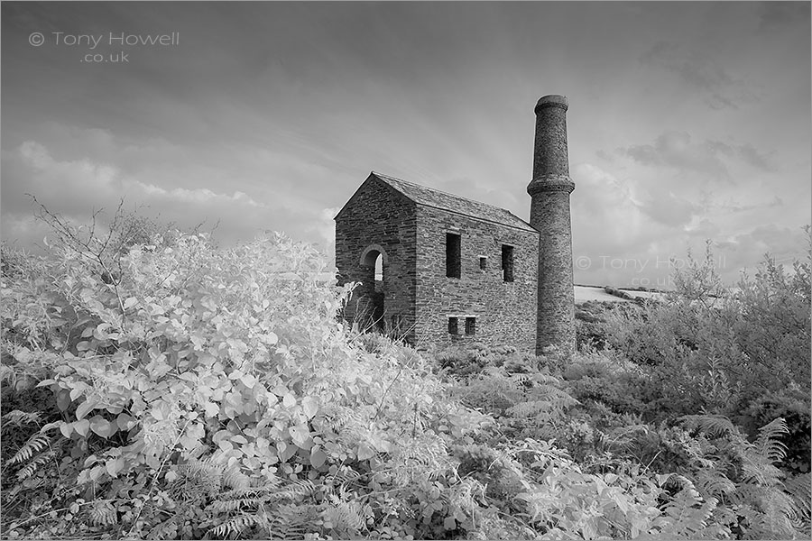 Prince of Wales Engine House, near Tintagel (Infrared Camera, turns foliage white)