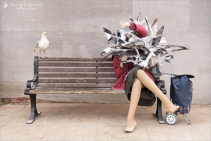 Dismaland Seagulls