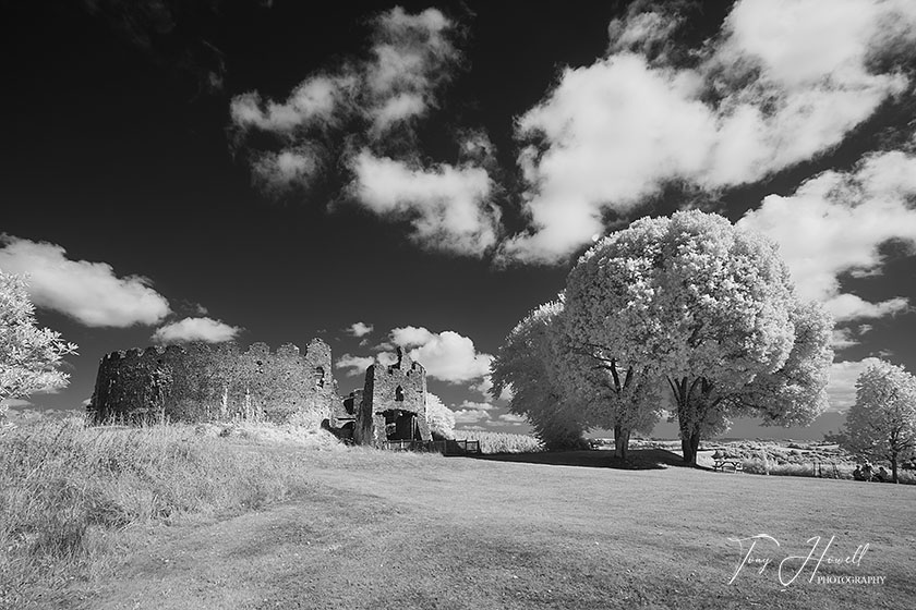 Restormel Castle (Infrared Camera, turns foliage white)