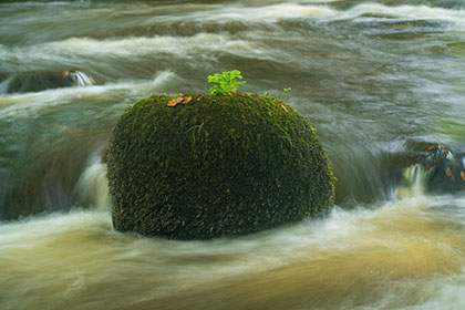 river par, -Luxulyan-Valley-Cornwall