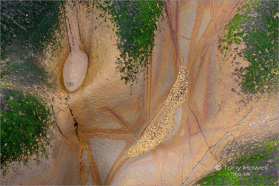 Rock Abstract, Widemouth Bay