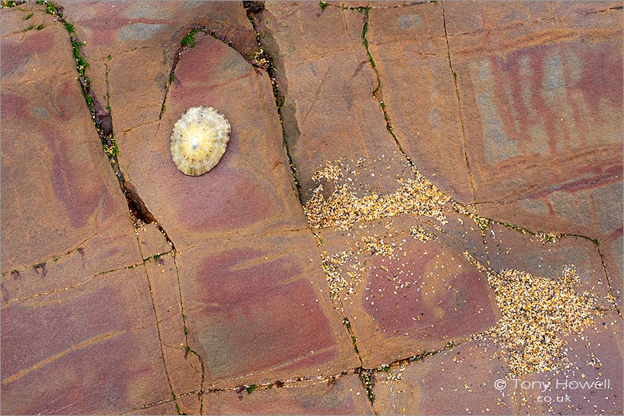 Rock Abstract, Widemouth Bay