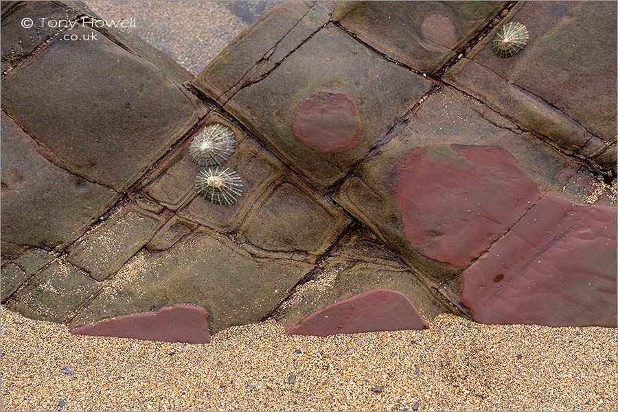 Rock Abstract, Widemouth Bay