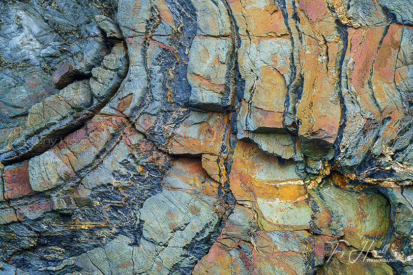 Rock Patterns, Porthtowan