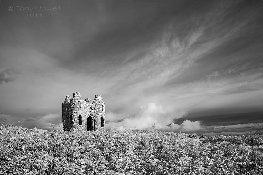 Rogers Tower, Ludgvan (Infrared Camera; turns foliage white)