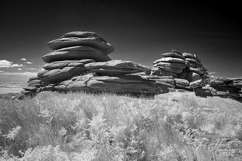 Rough Tor, Bodmin Moor (Infrared Camera, turns foliage white)