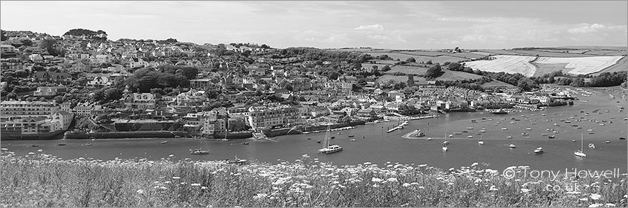 Salcombe, Panoramic