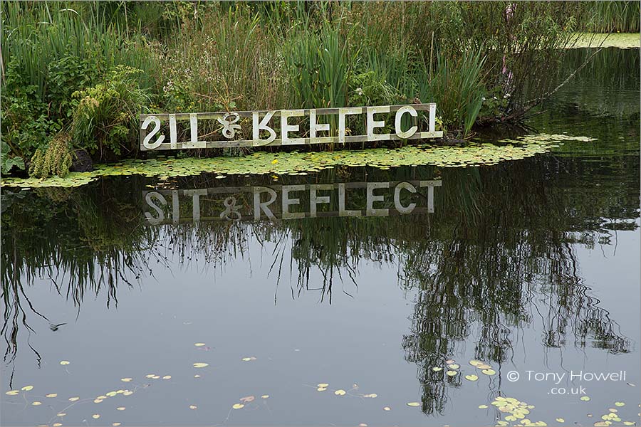 Sit and Reflect
