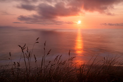 Sunset-Grasses-Perranporth-Cornwall