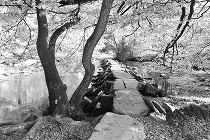 Tarr-Steps-Exmoor-Autumn