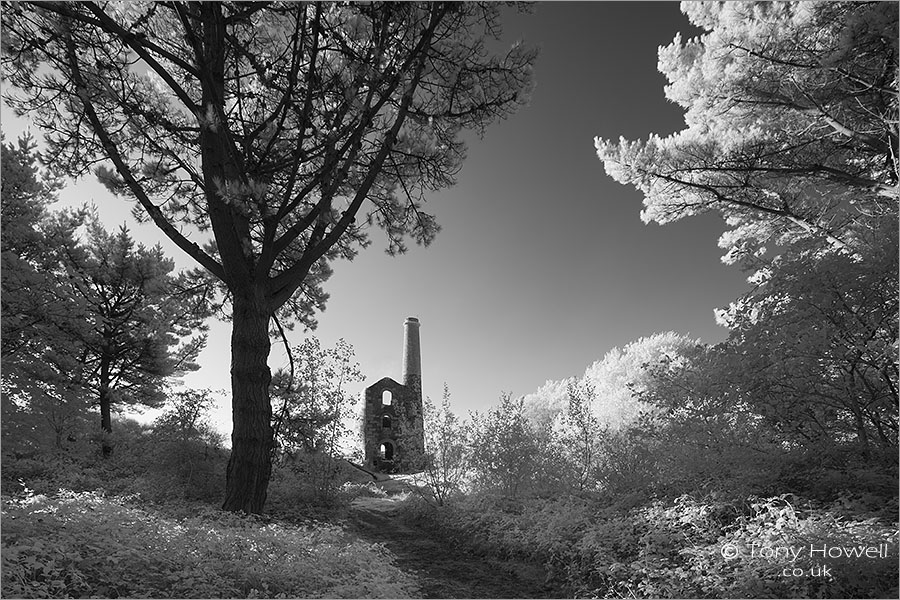 Ale and Cakes Tin Mine, United Downs (Infrared Camera, turns foliage white)