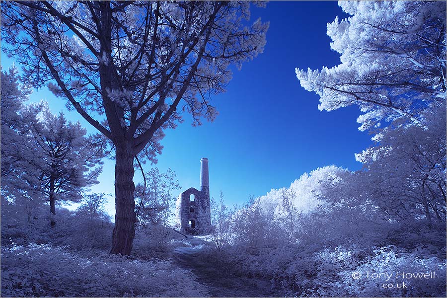 Ale and Cakes Tin Mine, United Downs (Infrared Camera, turns foliage white)