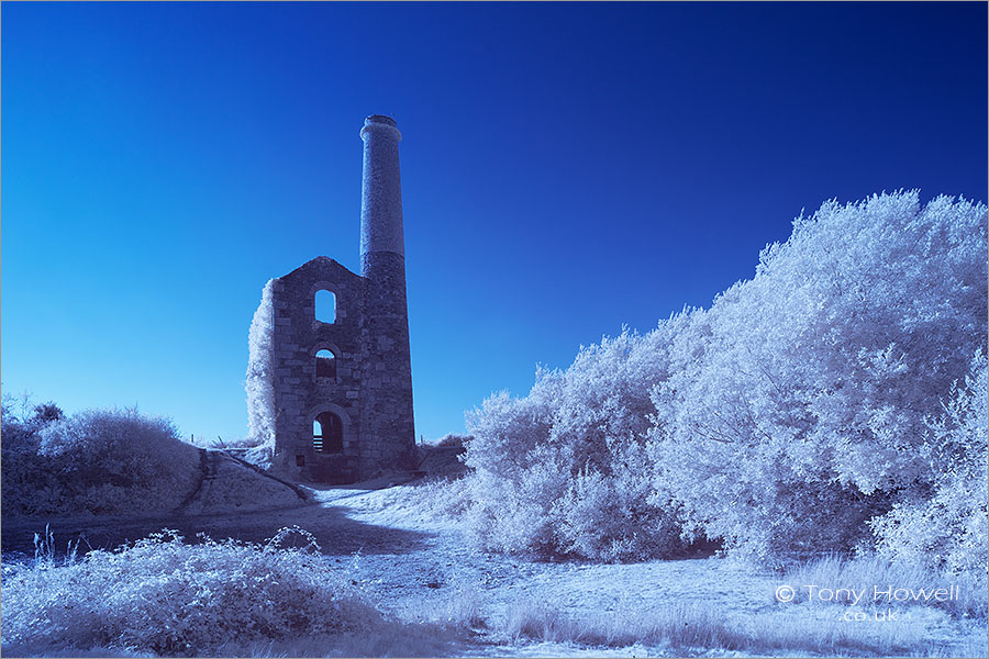 Ale and Cakes Tin Mine, United Downs (Infrared Camera, turns foliage white)