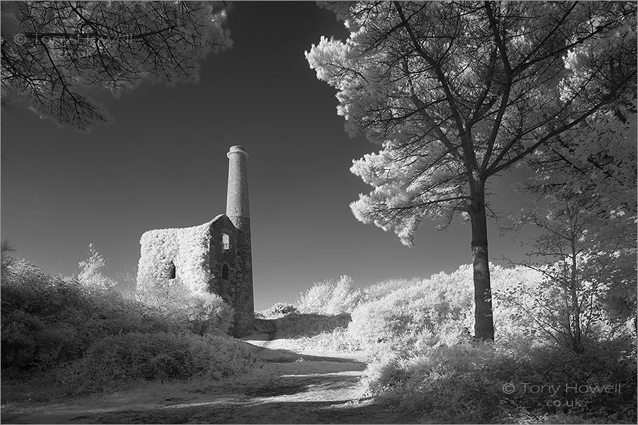 Ale and Cakes Tin Mine, United Downs (Infrared Camera, turns foliage white)