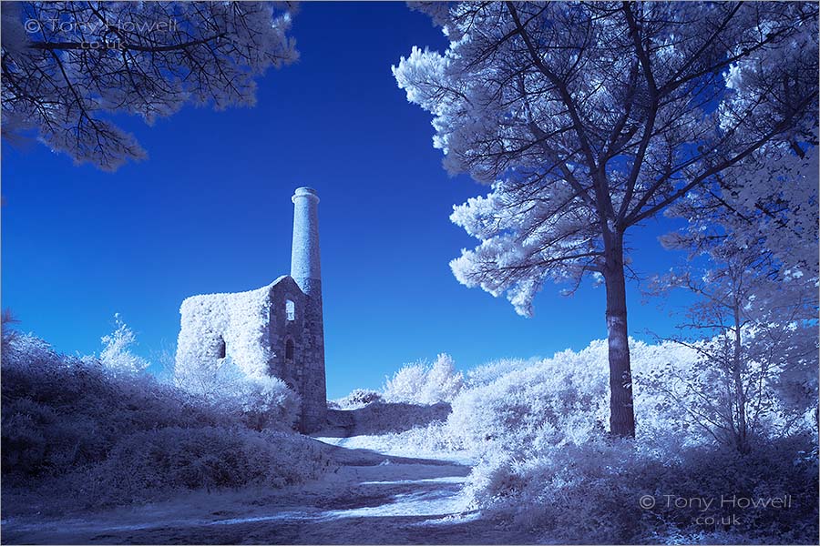 Ale and Cakes Tin Mine, United Downs (Infrared Camera, turns foliage white)