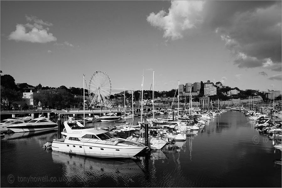 Torquay Marina