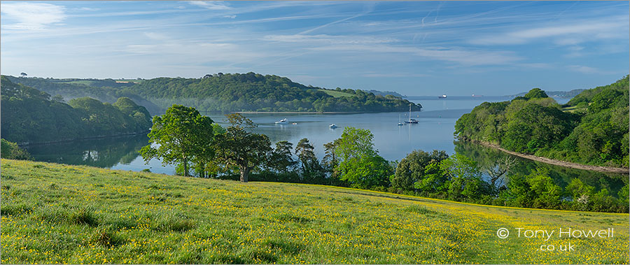 Trelissick View