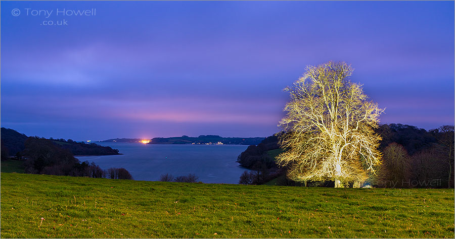 Trelissick, Dusk