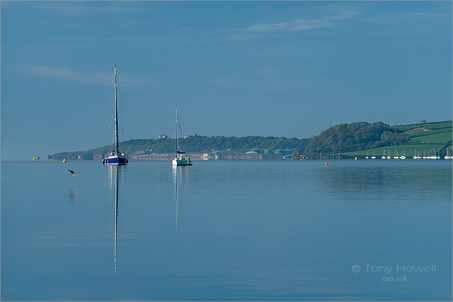 Trelissick, River Fal, Heron