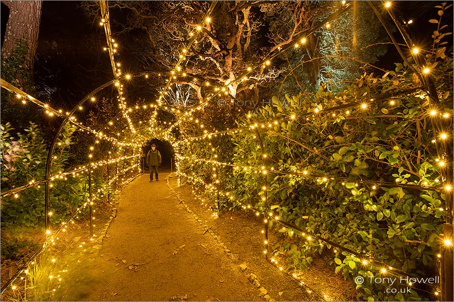 Tunnel, Night, Trelissick