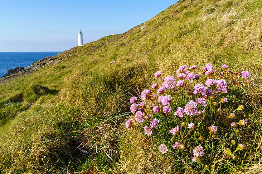 Trevose Head Lighthouse