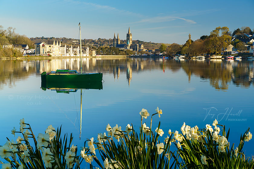 Truro Cathedral, Daffodils