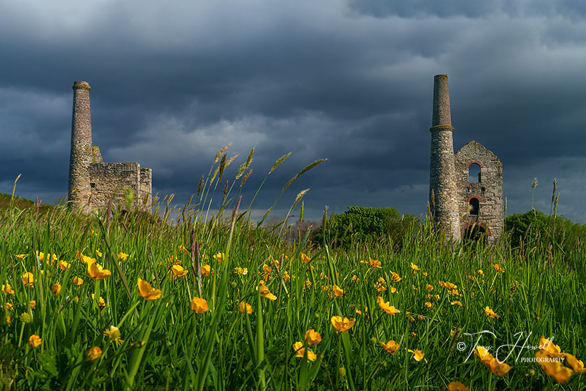 Unity Wood Tin Mine