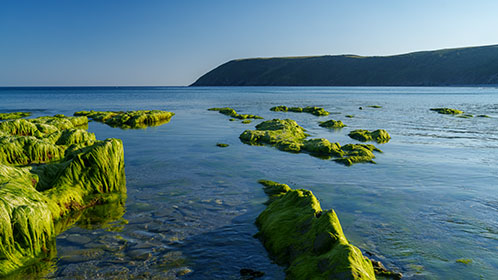 Vault-Beach-Cornwall